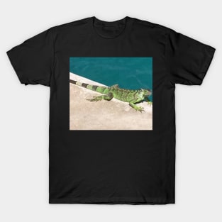 Iguana by the pool T-Shirt